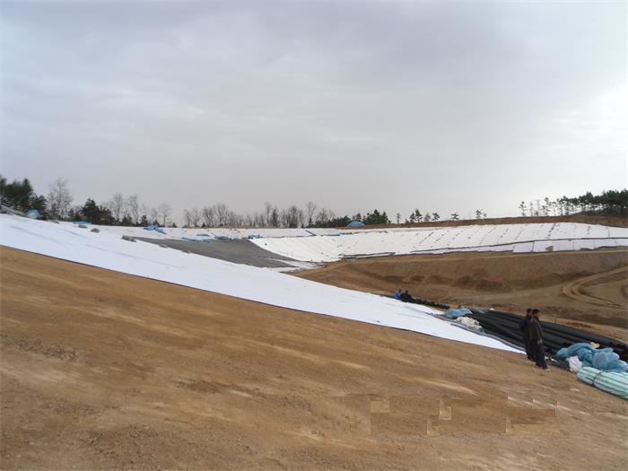 1641780784276280.jpg 1-200Q5160640.jpg