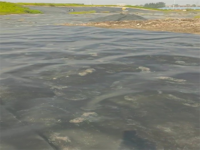 如何延長(zhǎng)防滲膜的使用壽命